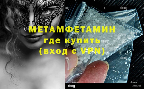 прущие грибы Новодвинск