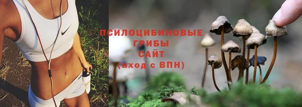 ECSTASY Новокубанск
