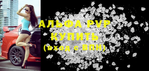 прущие грибы Новодвинск