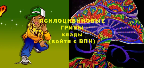 mdma Новозыбков