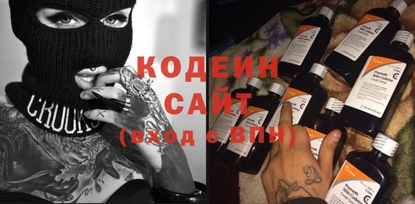 прущие грибы Новодвинск