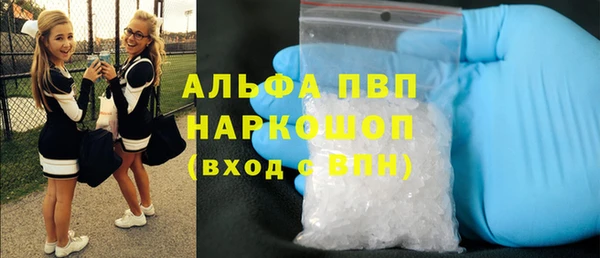 прущие грибы Новодвинск